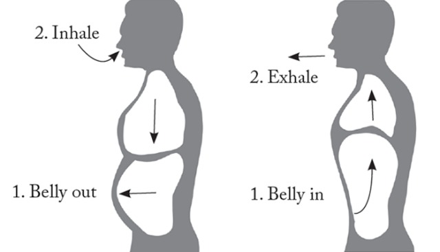 Belly breathing